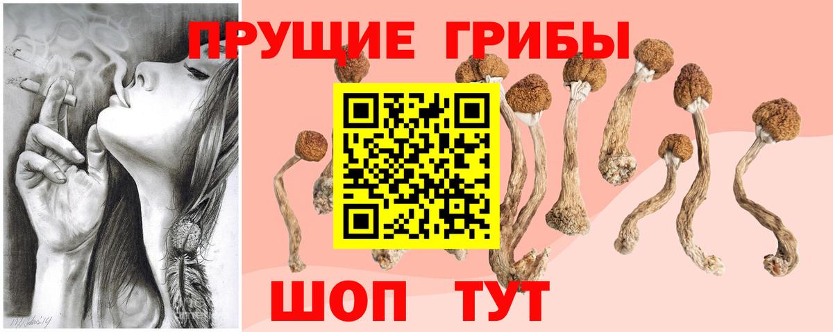 Галлюциногенные грибы Cubensis  Вход с VPN  Нижний Тагил 